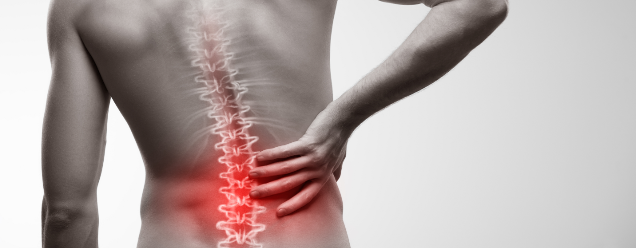 Back Pain Steve Kravitz Physical Therapy