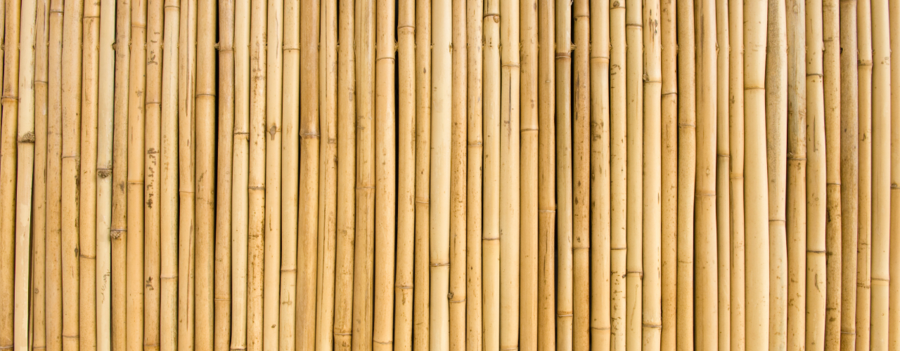 Doctor Referral - Steve Kravitz Physical Therapy