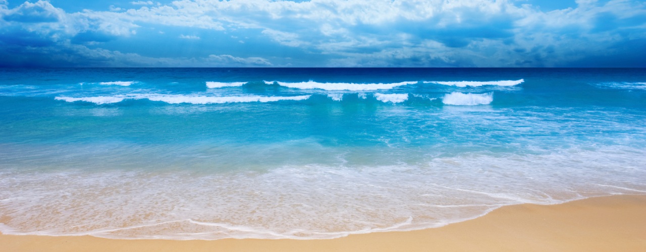 Testimonials- Steve Kravitz Physical Therapy