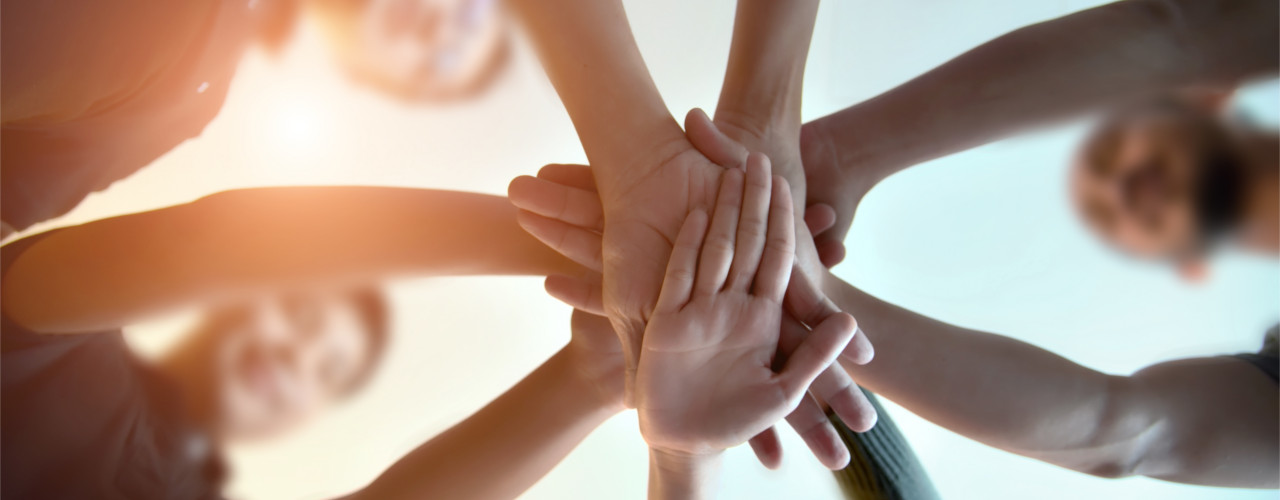 join our team steve kravitz physical therapy